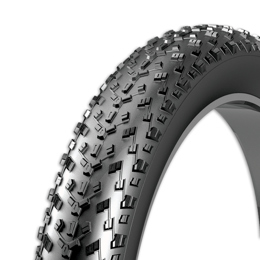 391309 REXWAY Rexway Tyre Fatbike 20